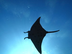 IMG_1124