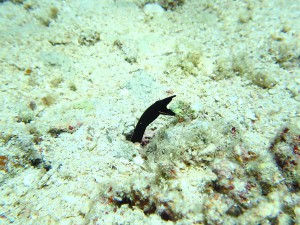IMG_1128