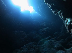IMG_1164
