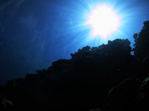 IMG_1165