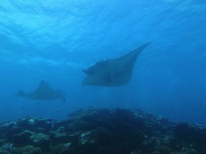 IMG_1195