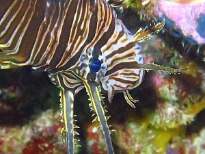 IMG_1232