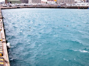 IMG_1423