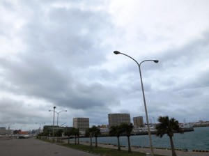 IMG_1426