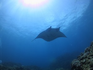 IMG_1433