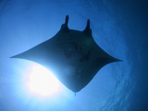 IMG_1436