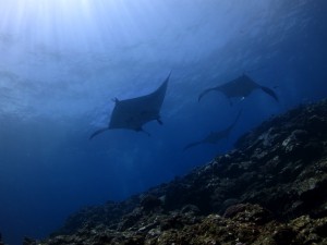 IMG_1444