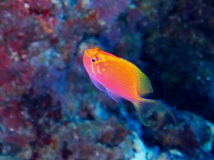 IMG_1465