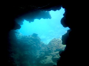 IMG_1492