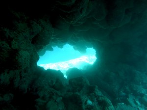IMG_1493