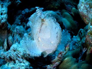 IMG_1508