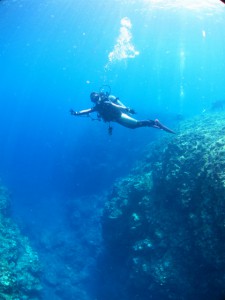 IMG_3698