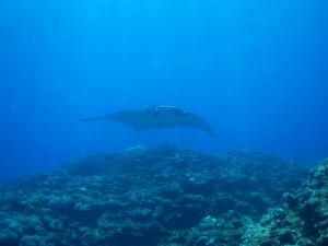 IMG_3704