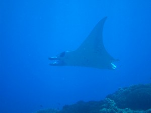 IMG_3706