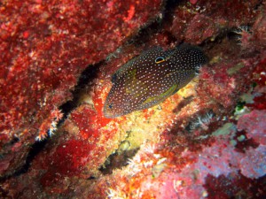 IMG_3728