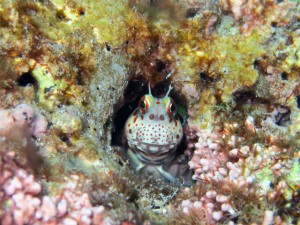 IMG_3857