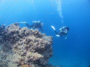 IMG_4046_R