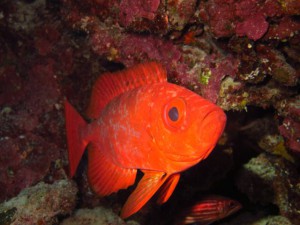 IMG_4057_R