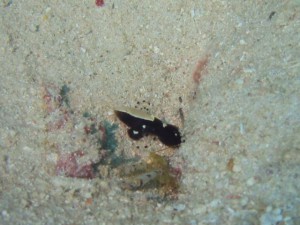 IMG_4080_R