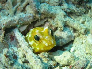 IMG_4081_R