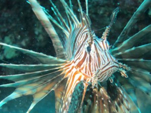 IMG_4086_R