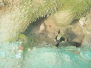 IMG_4127_R