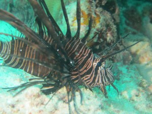 IMG_4128_R