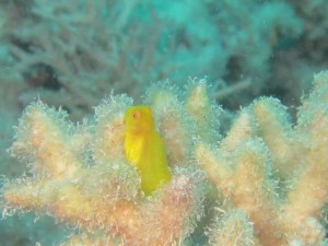 IMG_4132_R