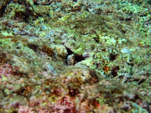 IMG_4360