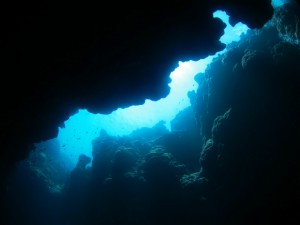 IMG_4544