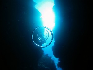 IMG_4545