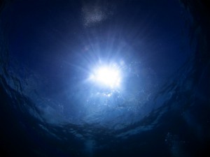 IMG_4977