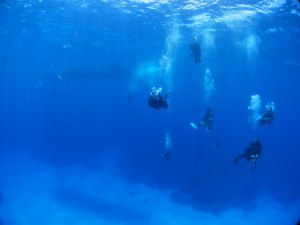 IMG_4982