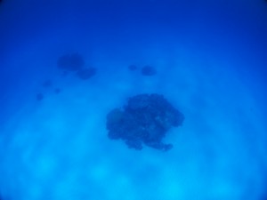 IMG_4983