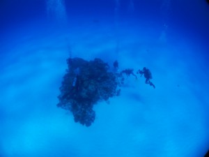 IMG_4986