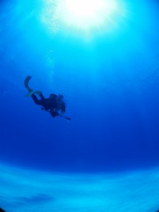 IMG_5011