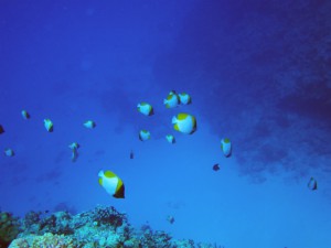 IMG_5062