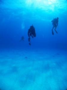 IMG_5073