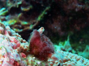 IMG_5323