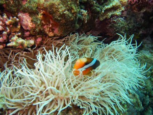 IMG_5638_R