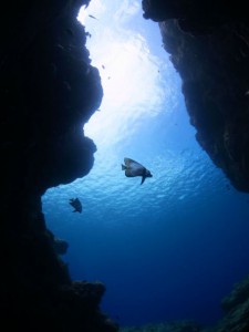 IMG_5666_R