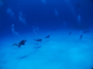 IMG_5678_R
