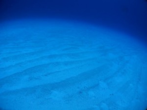IMG_5680_R