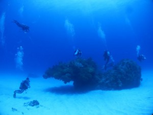 IMG_5681_R