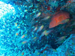 IMG_5688_R