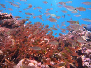 IMG_5730_R