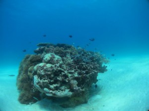 IMG_5740_R