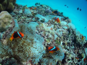 IMG_5758_R