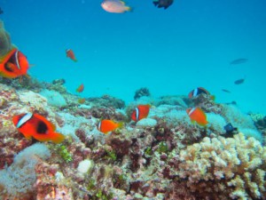 IMG_5763_R
