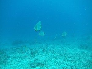 IMG_8766